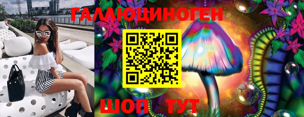 Галлюциногенные грибы Psilocybe Великие Луки
